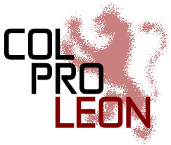 Asociación de Colegios Profesionales de León